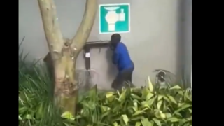 سرقت عجیب در آفریقای جنوبی! سرقت عجیب در آفریقای جنوبی!