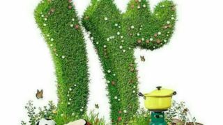 ۱۳ به در ایمن و بیخطر؛ لذت طبیعتگردی بدون حادثه ۱۳ به در ایمن و بیخطر؛ لذت طبیعتگردی بدون حادثه