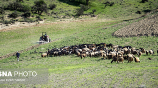 کوچ عشایر در قاب رنگها کوچ عشایر در قاب رنگها