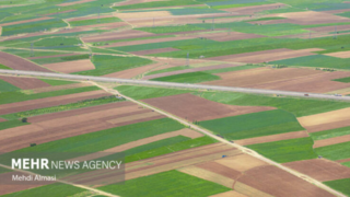 فرش سبز زمین فرش سبز زمین