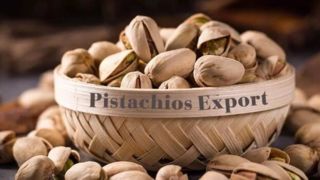 صادرات پسته ایران به اتحادیه اروپا بدون مانع ادامه دارد/ تحقق ۱۰۵ میلیون دلار درآمد ارزی صادرات پسته ایران به اتحادیه اروپا بدون مانع ادامه دارد/ تحقق ۱۰۵ میلیون دلار درآمد ارزی