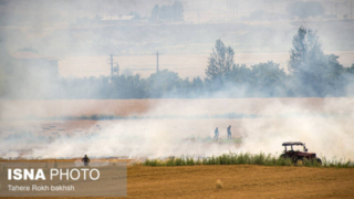 بازگشت زندگی به تالاب بختگان بازگشت زندگی به تالاب بختگان