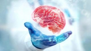 علتی جدید برای ابتلا به زوال عقل علتی جدید برای ابتلا به زوال عقل