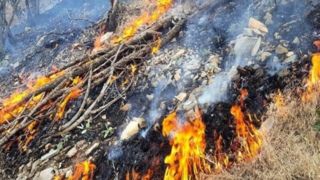 سهل انگاری گردشگران ۵۰ هکتار از پارک ملی تندوره را خاکستر کرد سهل انگاری گردشگران ۵۰ هکتار از پارک ملی تندوره را خاکستر کرد