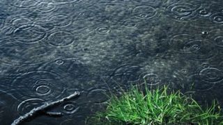 رگبار در دامنهها و ارتفاعات تهران/ خیزش گرد و خاک در نیمه جنوبی و غرب استان رگبار در دامنهها و ارتفاعات تهران/ خیزش گرد و خاک در نیمه جنوبی و غرب استان