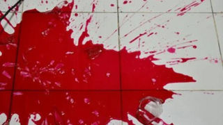 همسرکشی هولناک مرد کشاورز با ابزار کارش همسرکشی هولناک مرد کشاورز با ابزار کارش