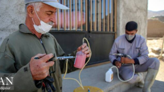 واکسیناسیون دام در روستاهای خراسان شمالی واکسیناسیون دام در روستاهای خراسان شمالی