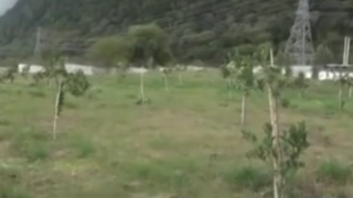 محل تخریب ۶۴ ویلای مجلل غیرمجاز به چه تبدیل شد؟ محل تخریب ۶۴ ویلای مجلل غیرمجاز به چه تبدیل شد؟