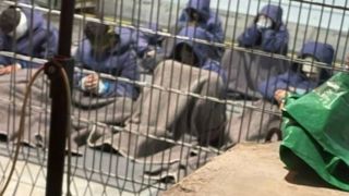 در اسرائیل، تجاوز به زندانیان فلسطینی موجه است؛ افشای فیلم خیانت در اسرائیل، تجاوز به زندانیان فلسطینی موجه است؛ افشای فیلم خیانت