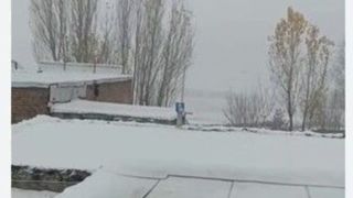 بارش شدید برف در سلماس آذربایجان غربی بارش شدید برف در سلماس آذربایجان غربی