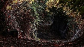 طبیعت پاییزی قره داغ طبیعت پاییزی قره داغ