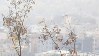 تداوم آموزش غیرحضوری دانشگاهها و مدارس استان تهران برای سه شنبه/دورکاری دستگاههای اجرایی تهران با نظر مدیران تداوم آموزش غیرحضوری دانشگاهها و مدارس استان تهران برای سه شنبه/دورکاری دستگاههای اجرایی تهران با نظر مدیران