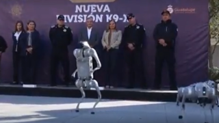 سگهای رباتیک در جام جهانی به خدمت گرفته میشوند سگهای رباتیک در جام جهانی به خدمت گرفته میشوند