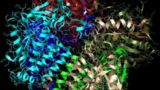 روشی جدید برای تولید نانوذرات از آنزیم‌ها